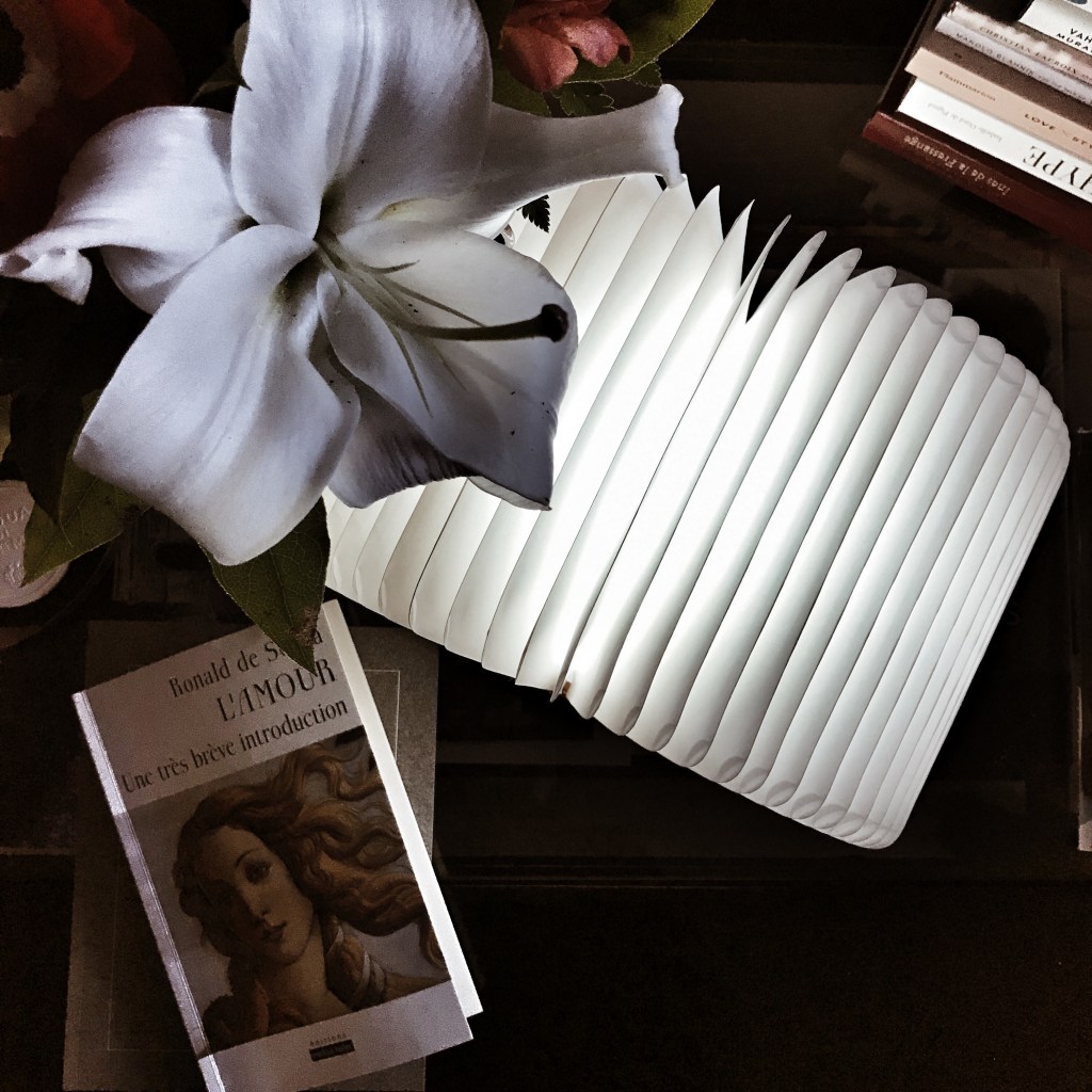 L&rsquo;amour, une très brève introduction de Ronald de&nbsp;Sousa