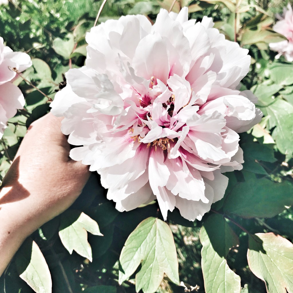 En mots et en images : Avril&nbsp;2018