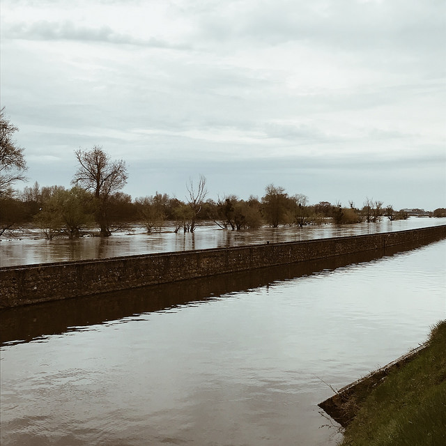 Promenade en bord de Loire