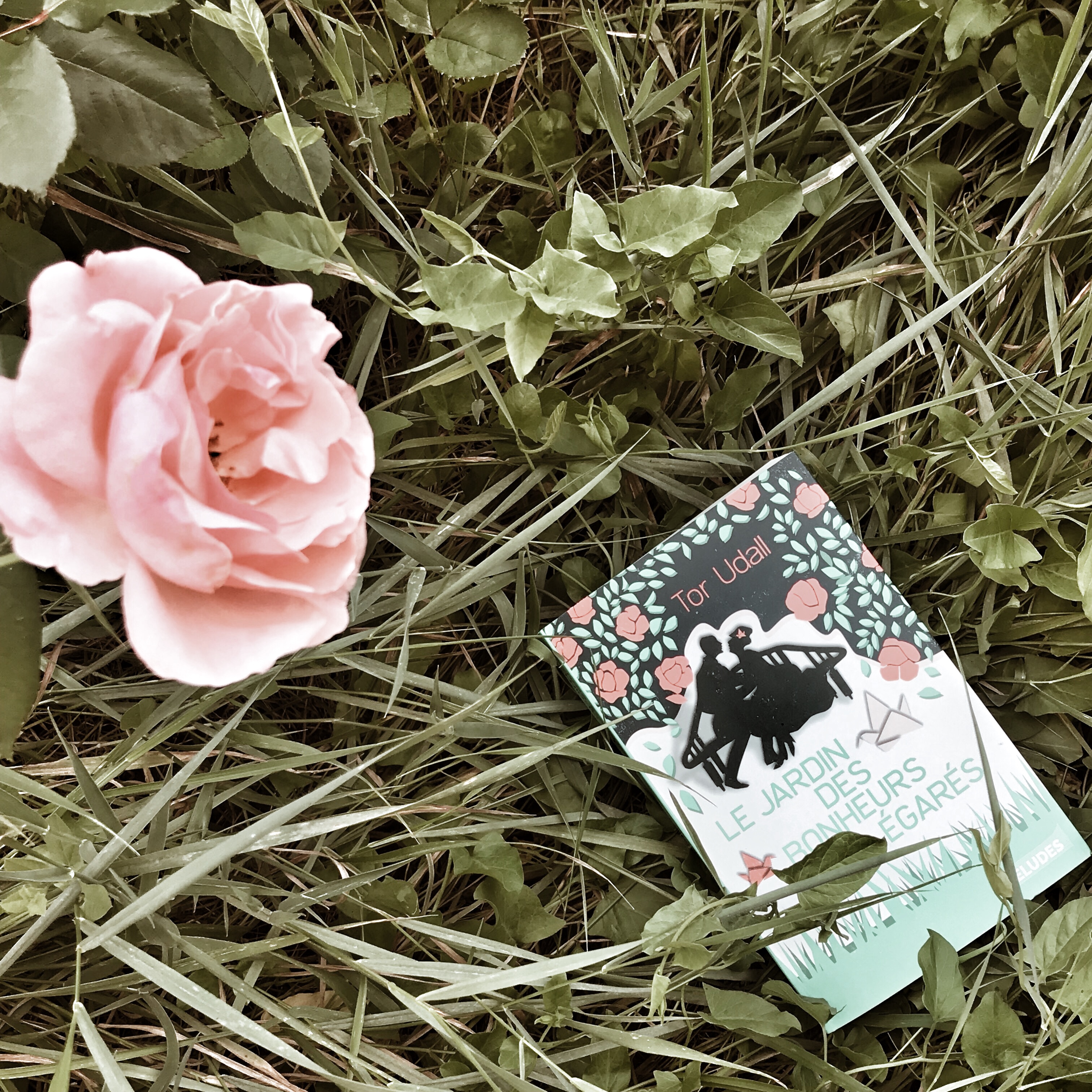 Le jardin des bonheurs égarés, de Tor Udall