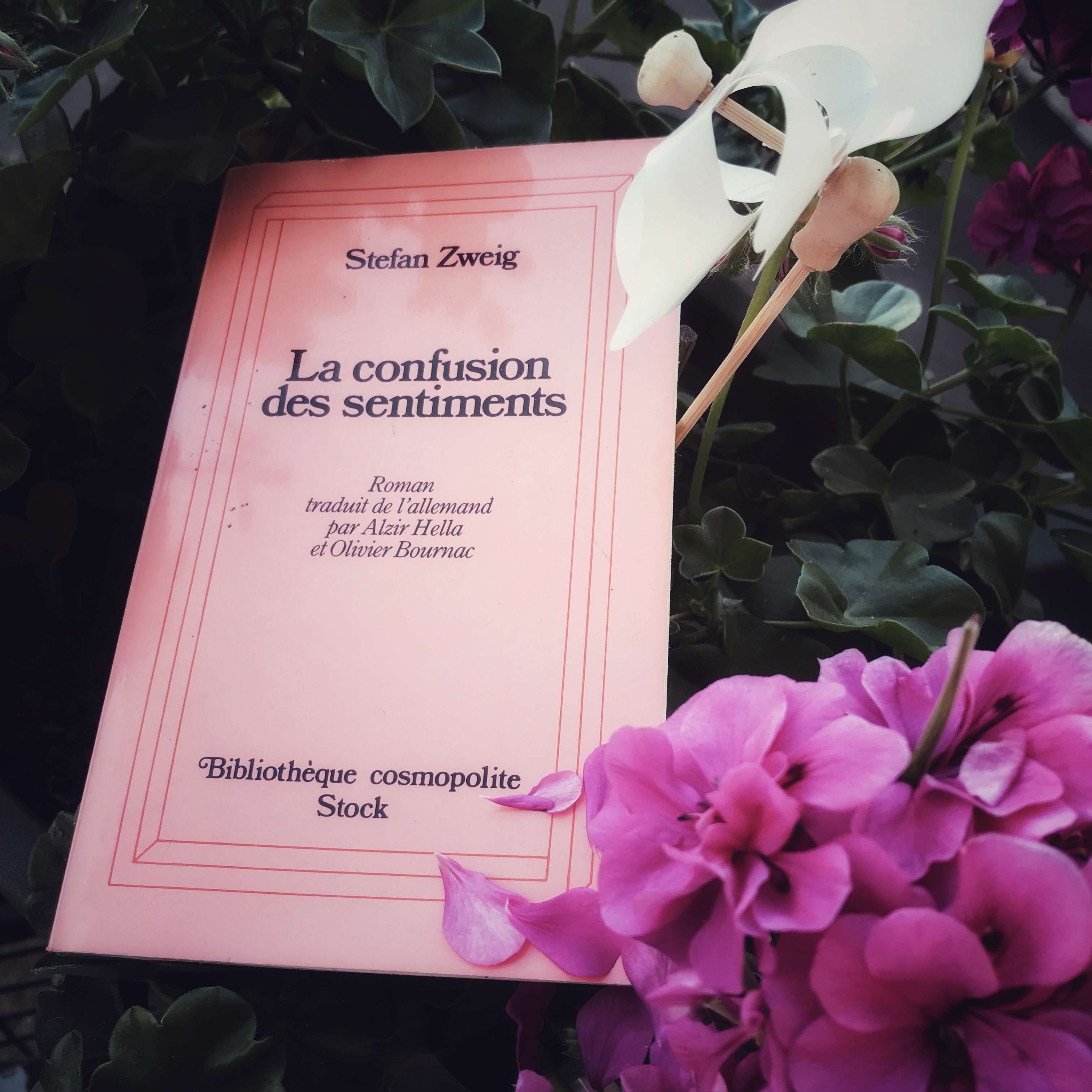 La confusion des sentiments, de Stefan Zweig