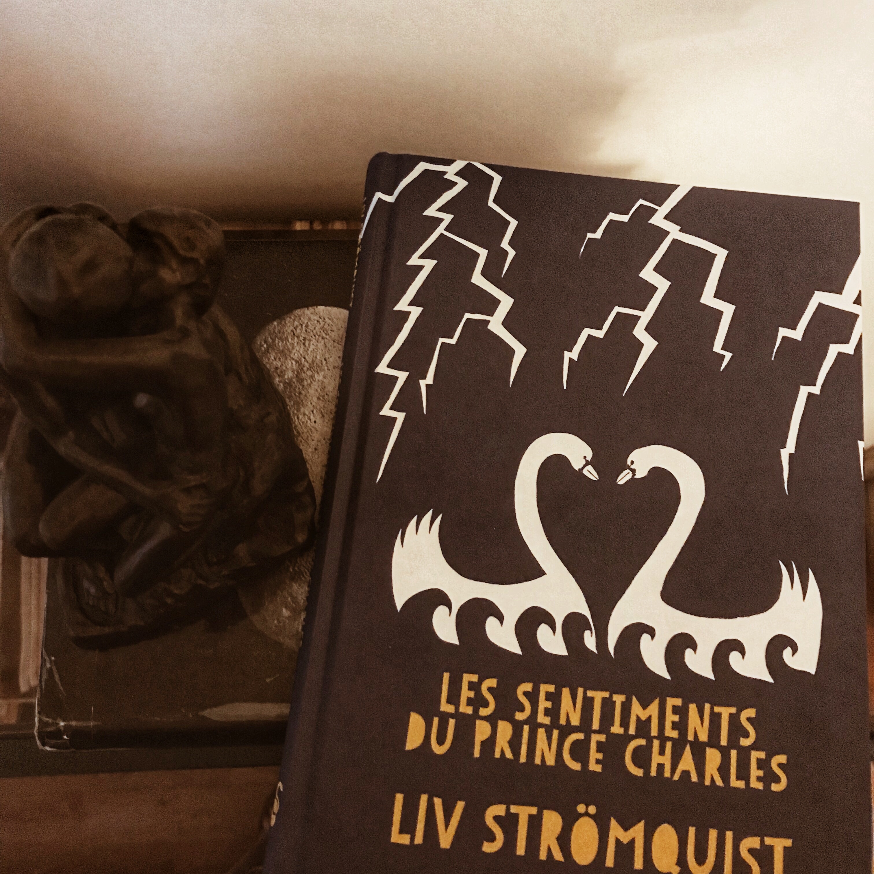 Les sentiments du Prince Charles, de Liv Strömquist