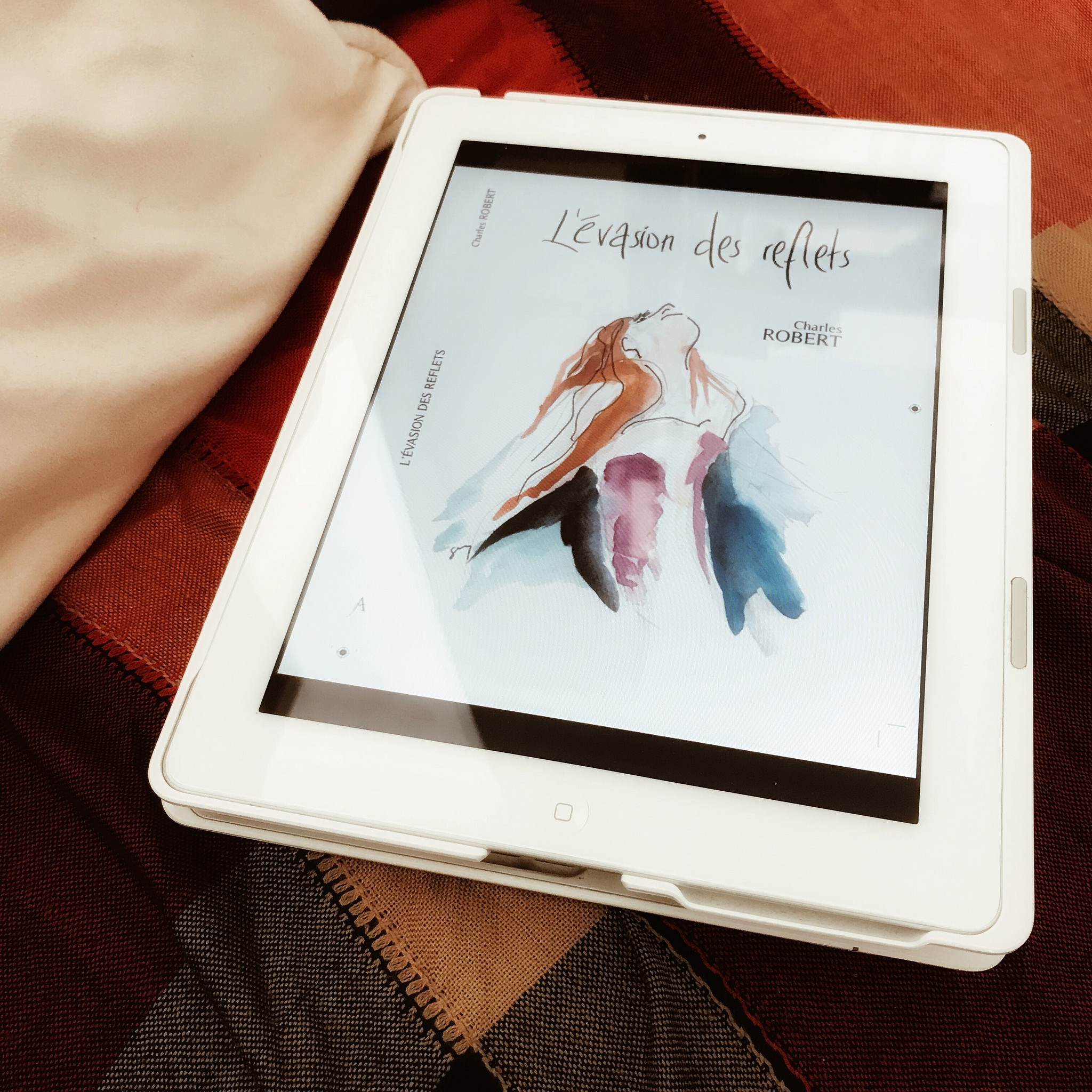 L&rsquo;Evasion des reflets, de Charles Robert