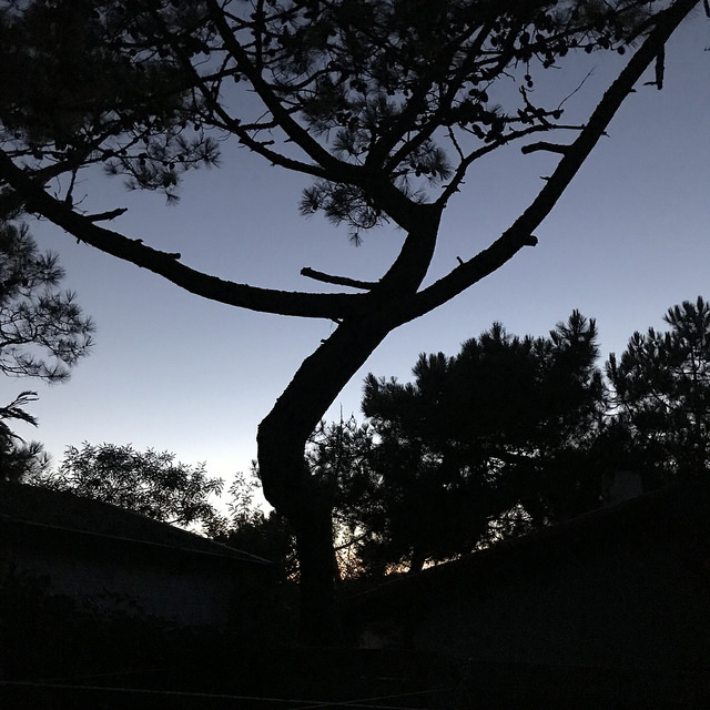 Profiter encore des couleurs du soir