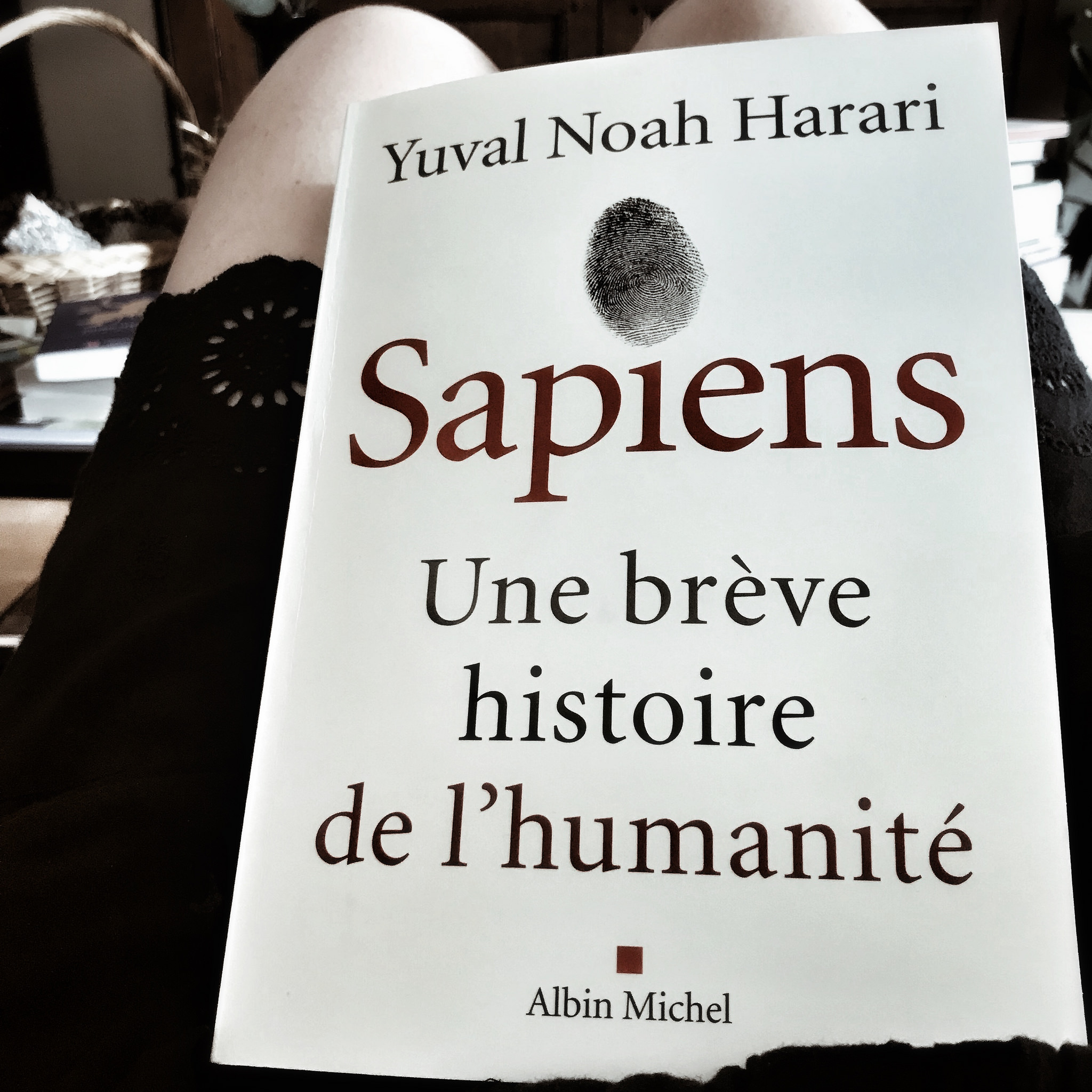 Sapiens. Une brève histoire de l&rsquo;humanité, de Yuval Noah Harari