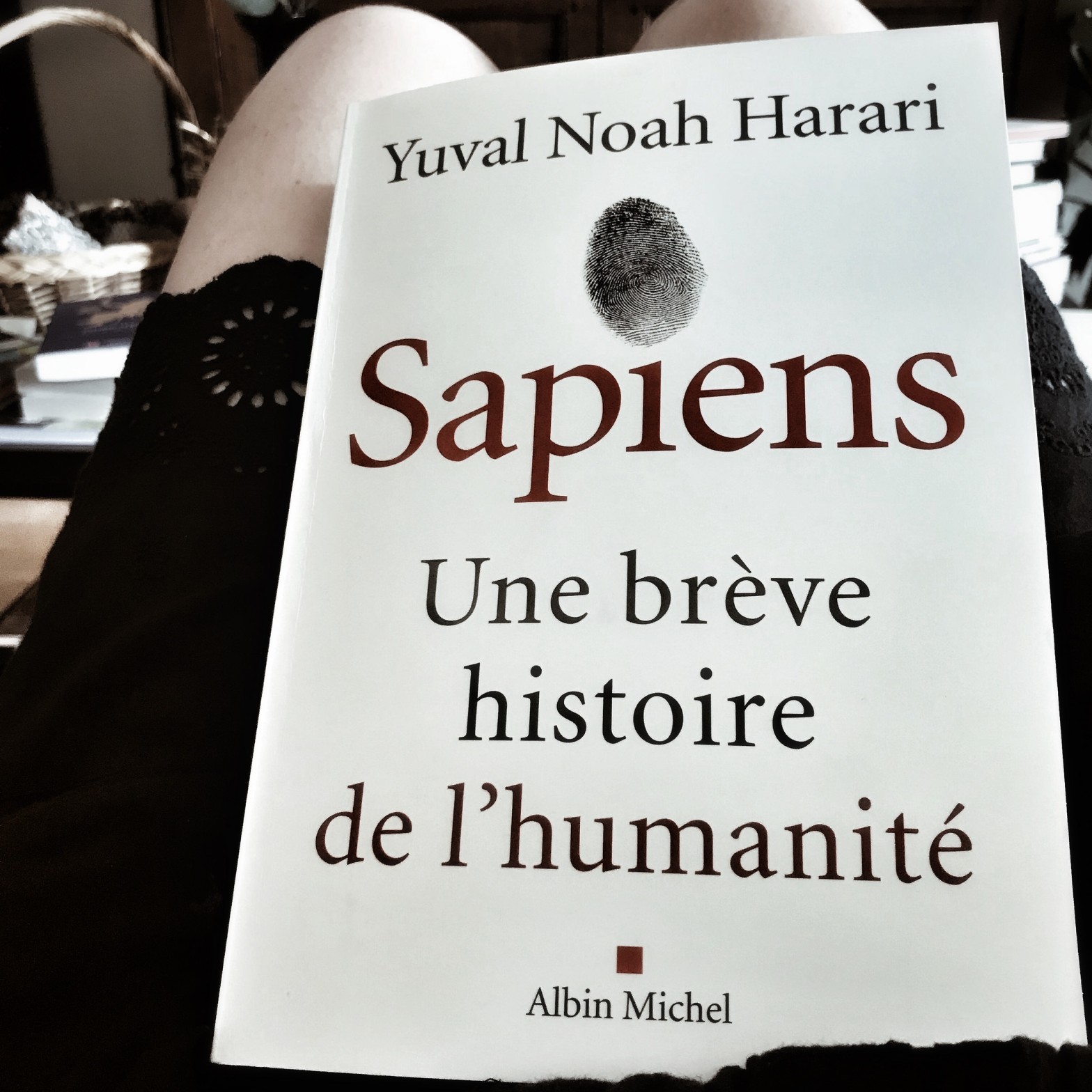 Sapiens. Une brève histoire de l'humanité, de Yuval Noah Harari : Il était une fois l'Homme