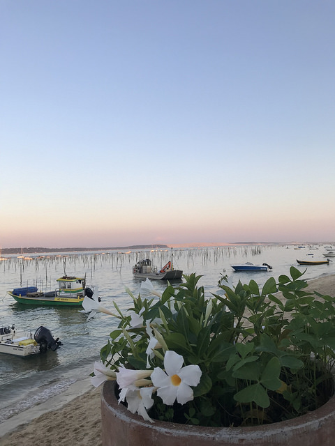 Dîner au bord de l'eau