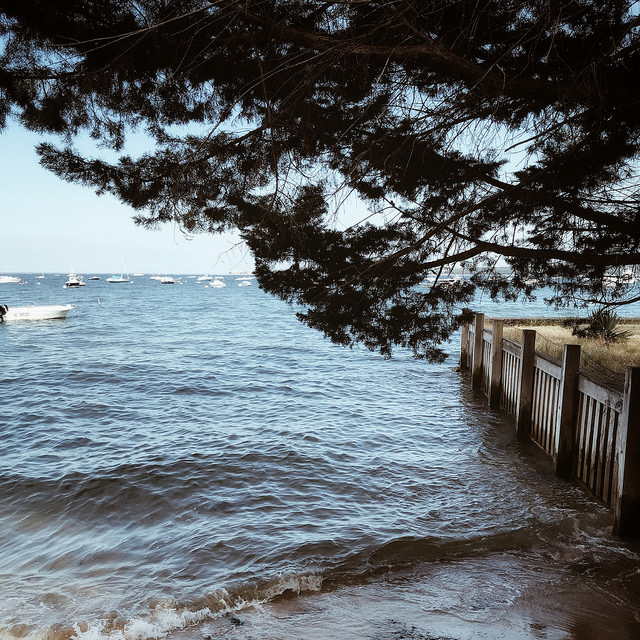 Le dernier bain de mer