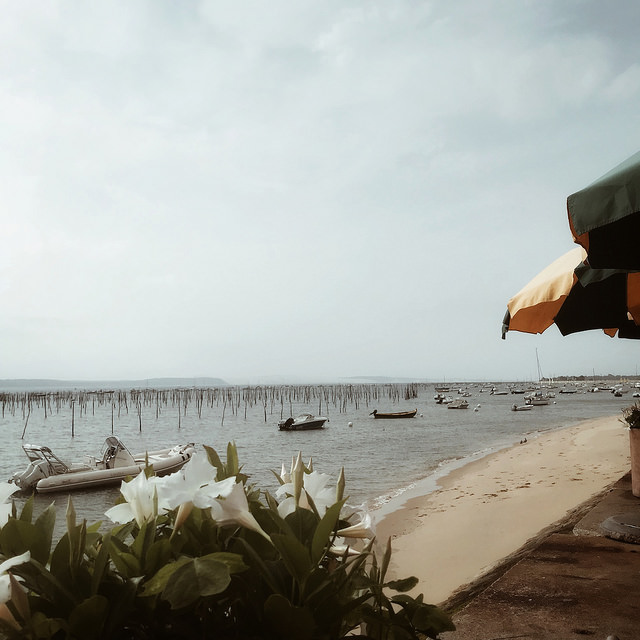 Petit déjeuner en bonne compagnie et au bord de l'eau