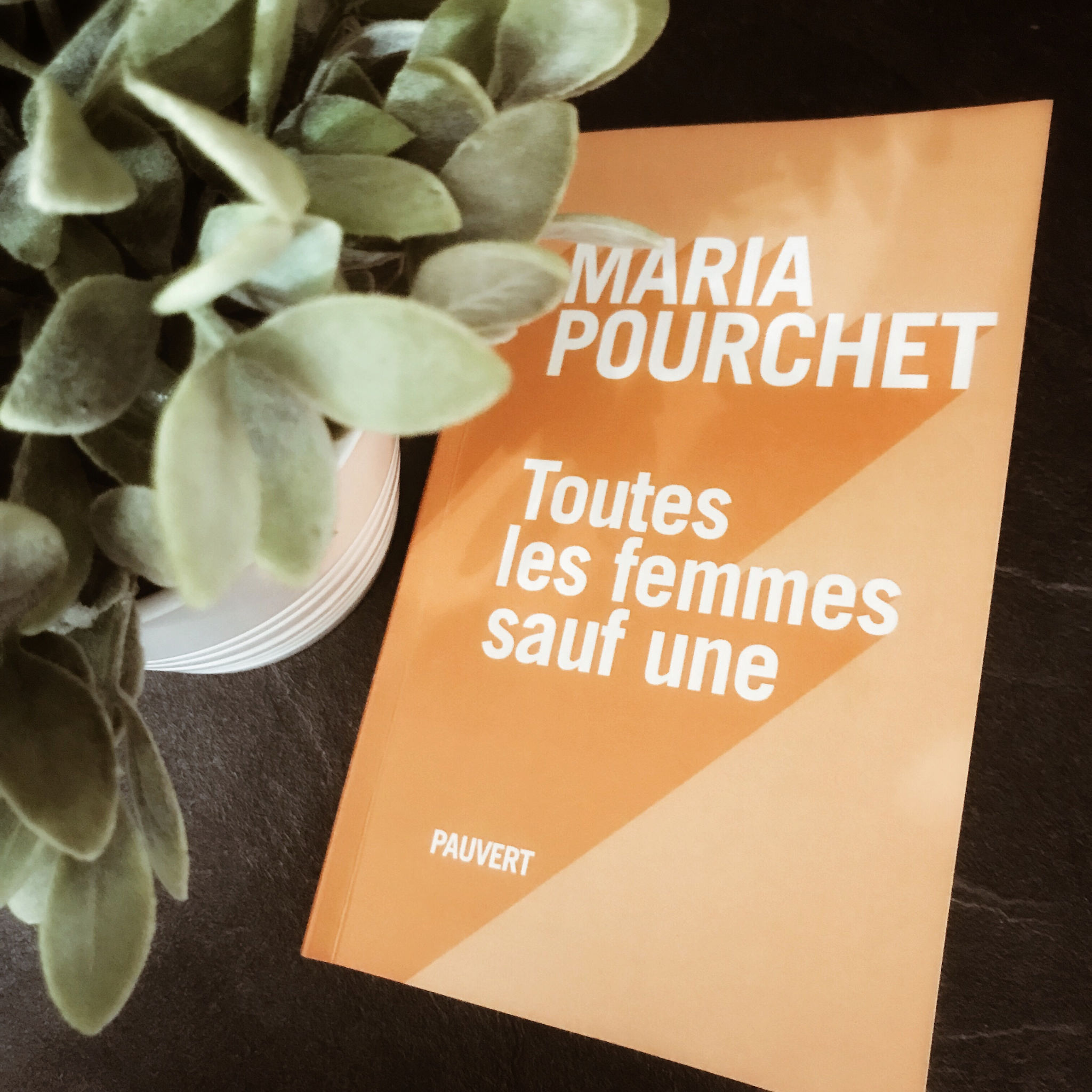 Toutes les femmes sauf une, de Maria Pourchet