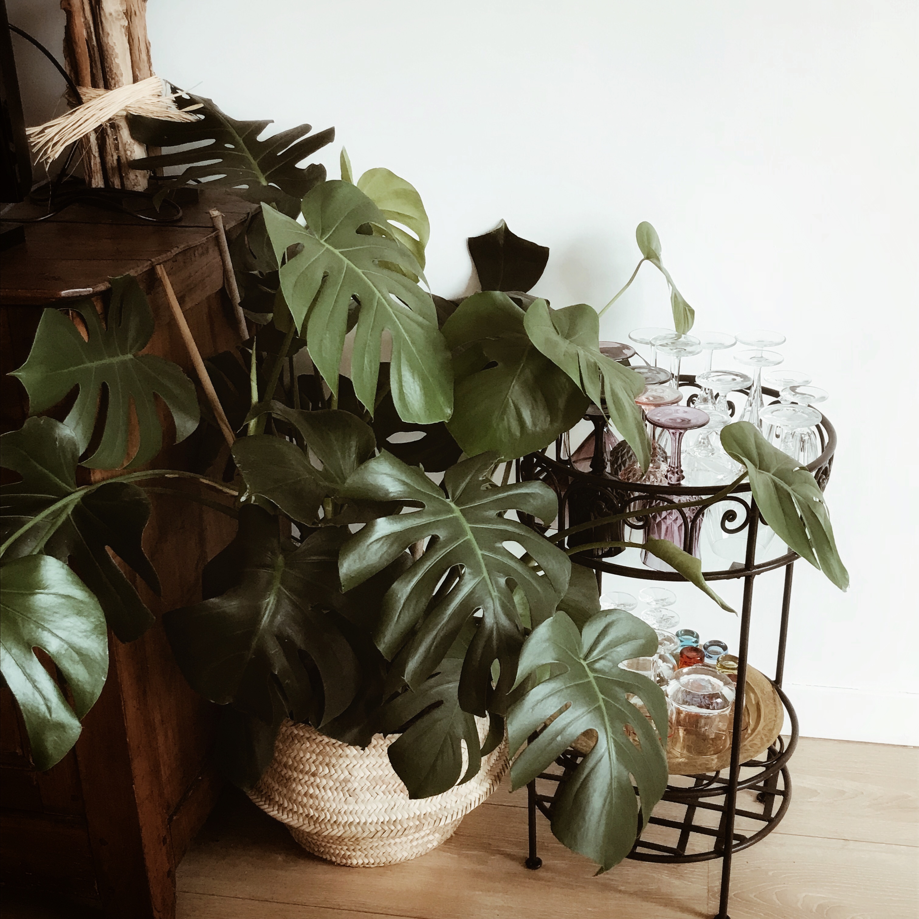Vivre avec des plantes
