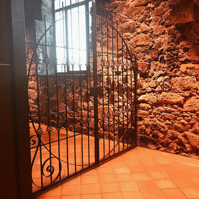 Visite dégustation de Porto