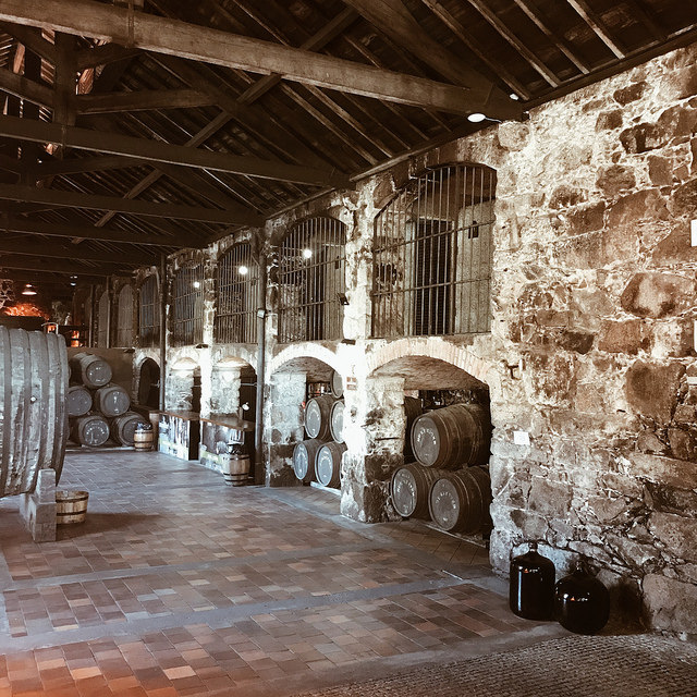 Visite dégustation de Porto