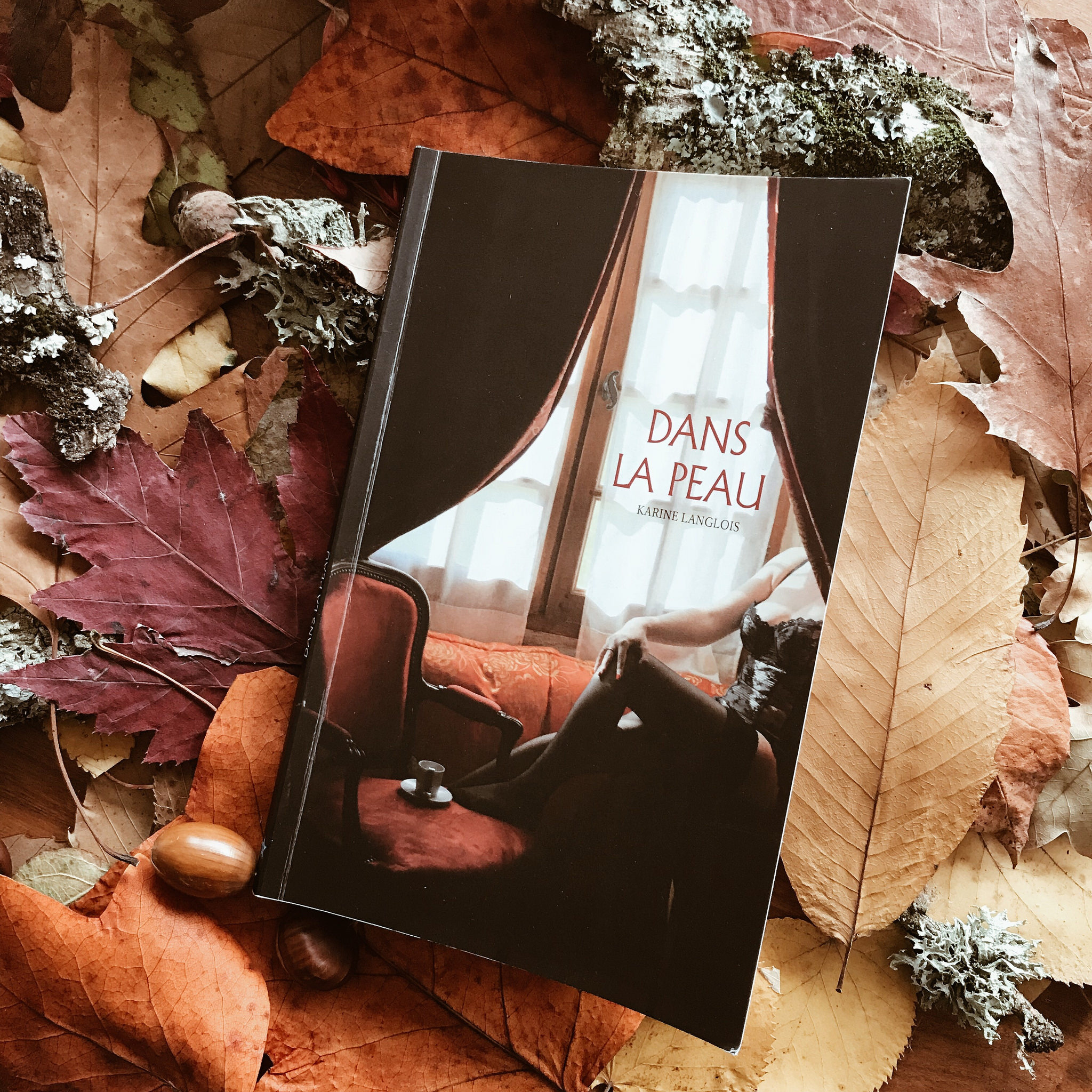 Dans la peau, de Karine Langlois