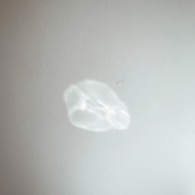 Le soleil qui dessine une fleur sur mon mur