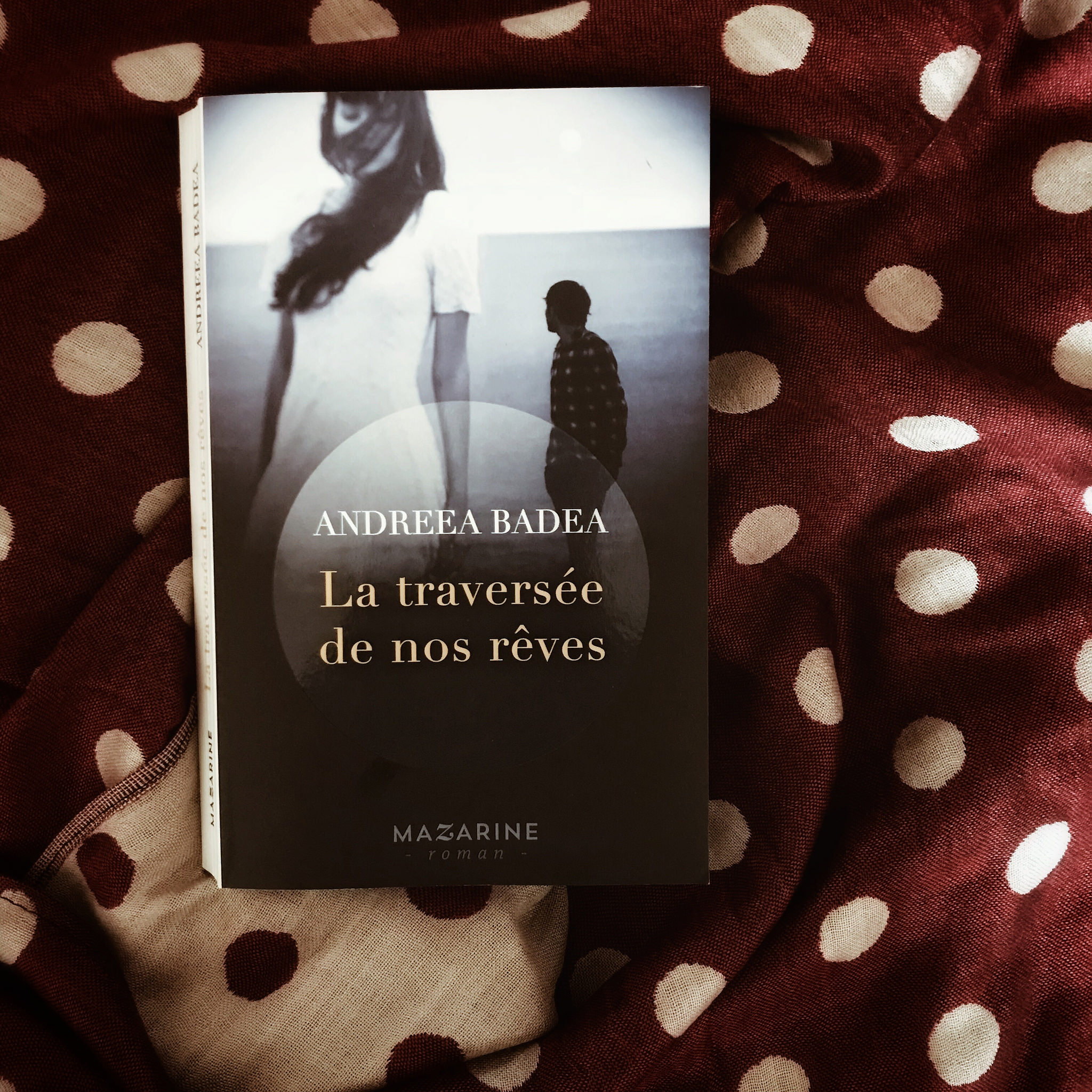 La traversée de nos rêves, d&rsquo;Andreea Badea