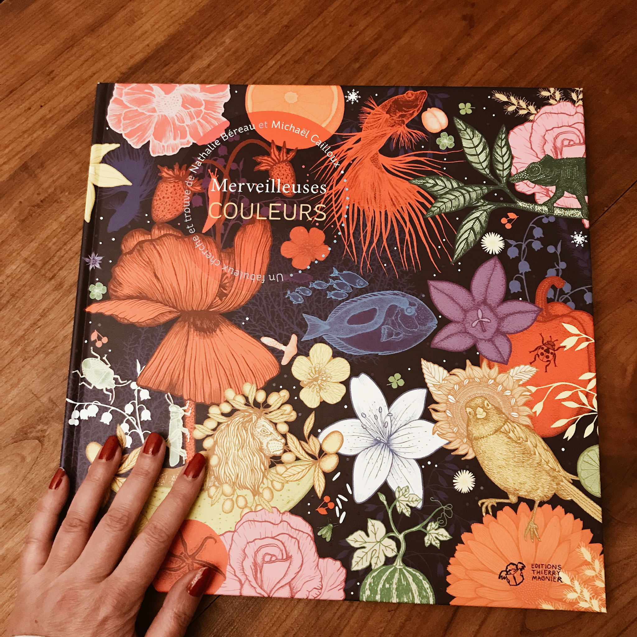 Merveilleuses couleurs de Nathalie Béreau et Michael Cailloux : plein les yeux