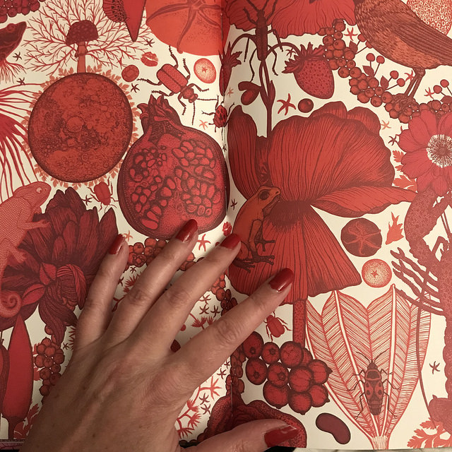 Merveilleuses couleurs de Nathalie Béreau et Michael Cailloux : plein les yeux