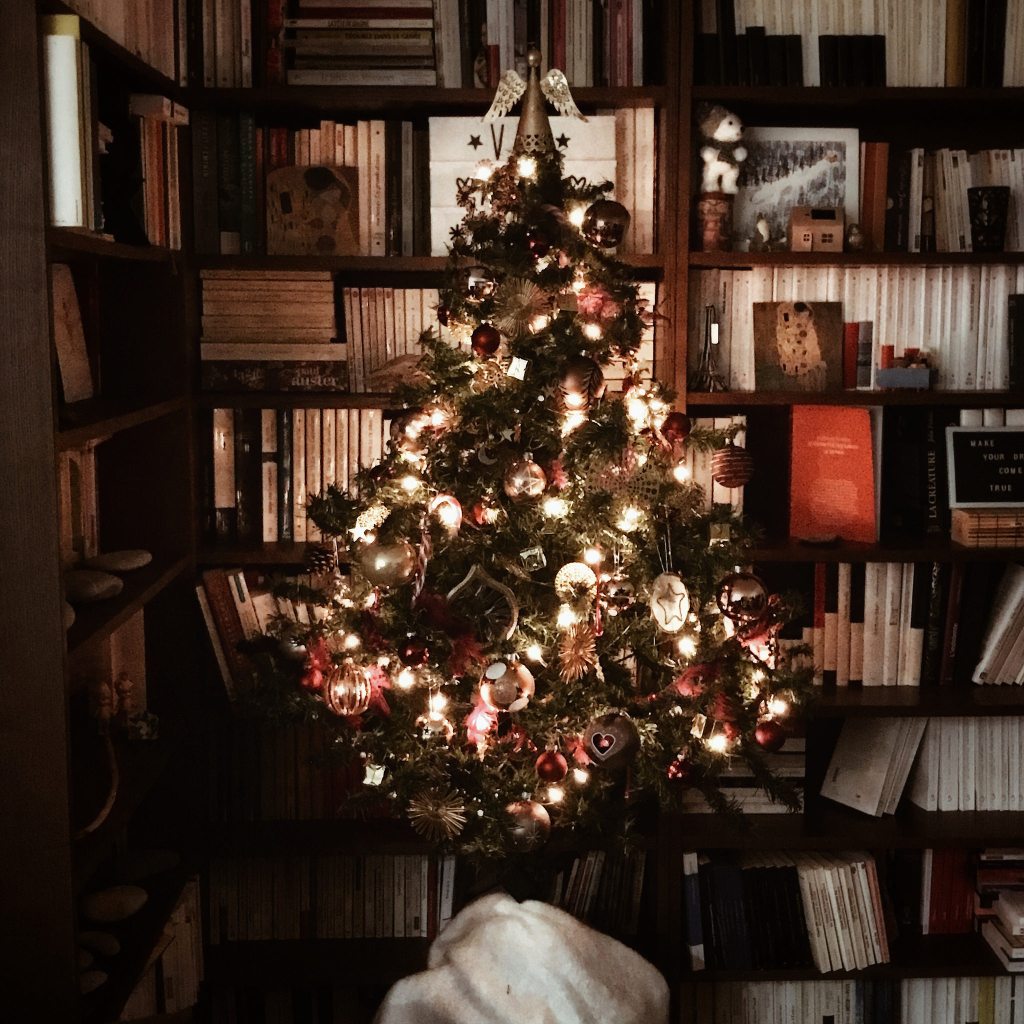 En attendant Noël : le sapin