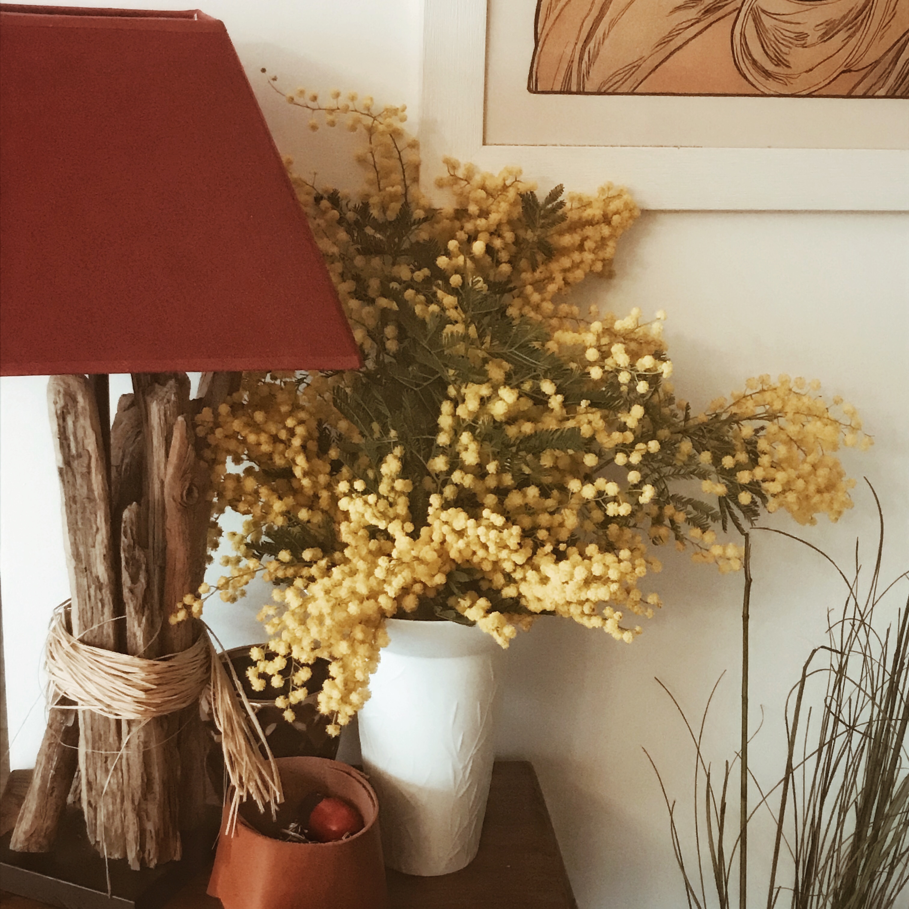 En mots et en images : janvier 2019