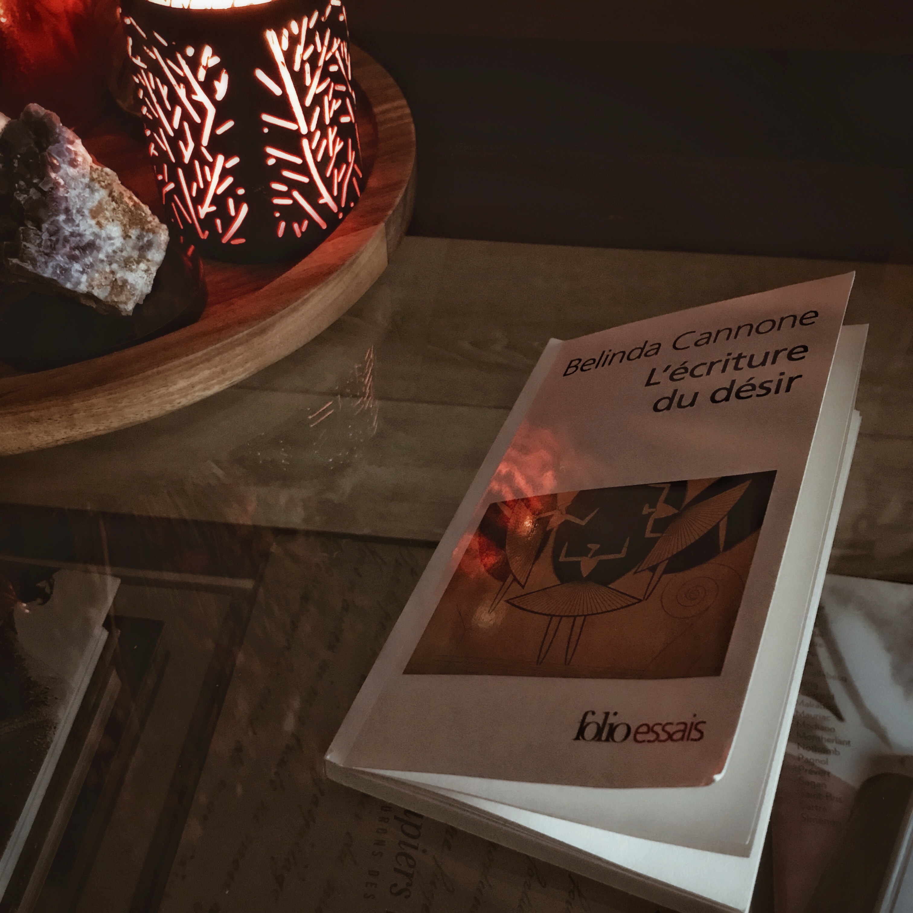 L&rsquo;Ecriture du désir de Belinda Cannone : la littérature et le monde