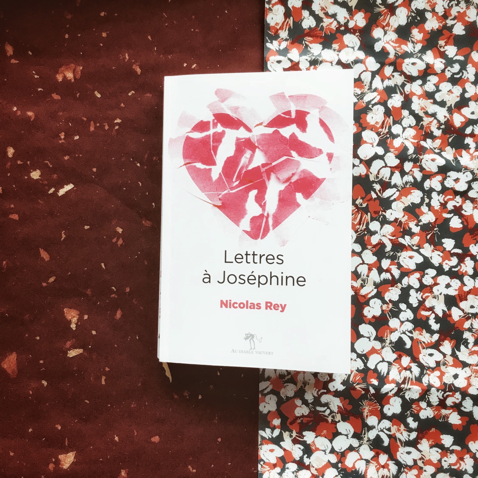 Lettres à Joséphine, de Nicolas Rey : l'amour inguérissable
