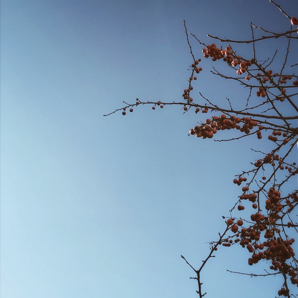 Le ciel d'un bleu si pur et la nature qui s'éveille