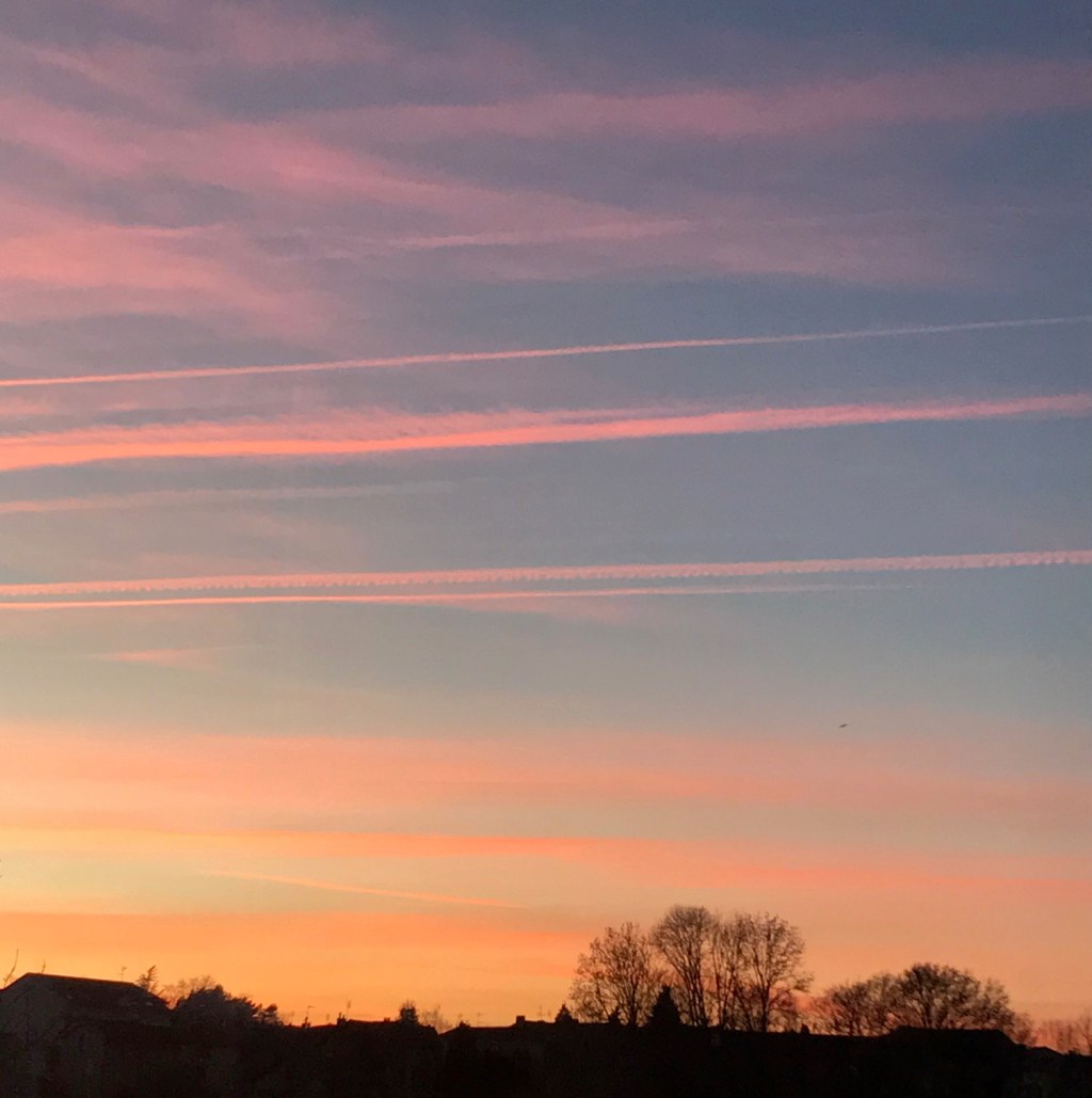 En mots et en images : février&nbsp;2019