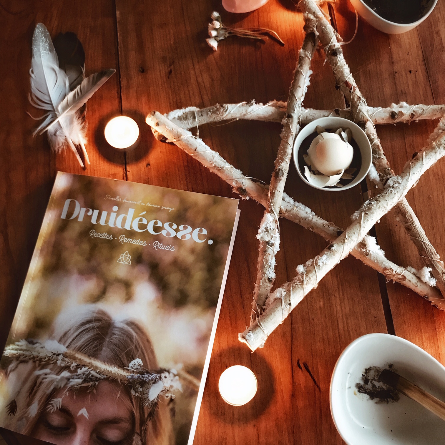 Druideesse. Recettes. Remèdes. Rituels. S&rsquo;éveiller doucement au féminin sauvage