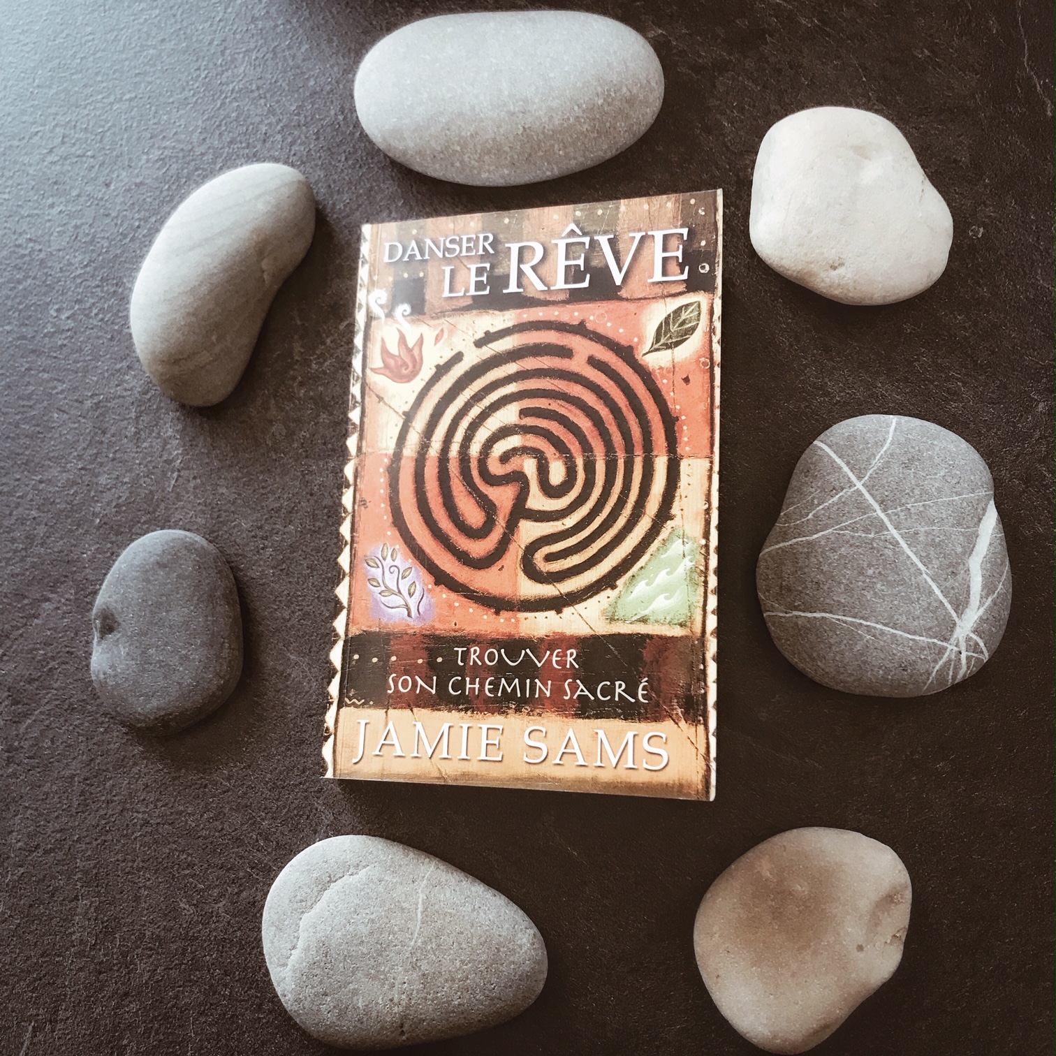 Danser le rêve. Trouver son chemin sacré, de Jamie Sams : chacun sa route…