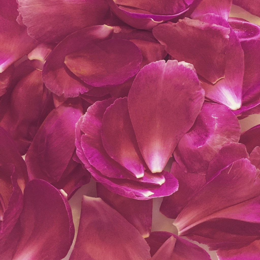 40 ans, l&rsquo;année d&rsquo;après…