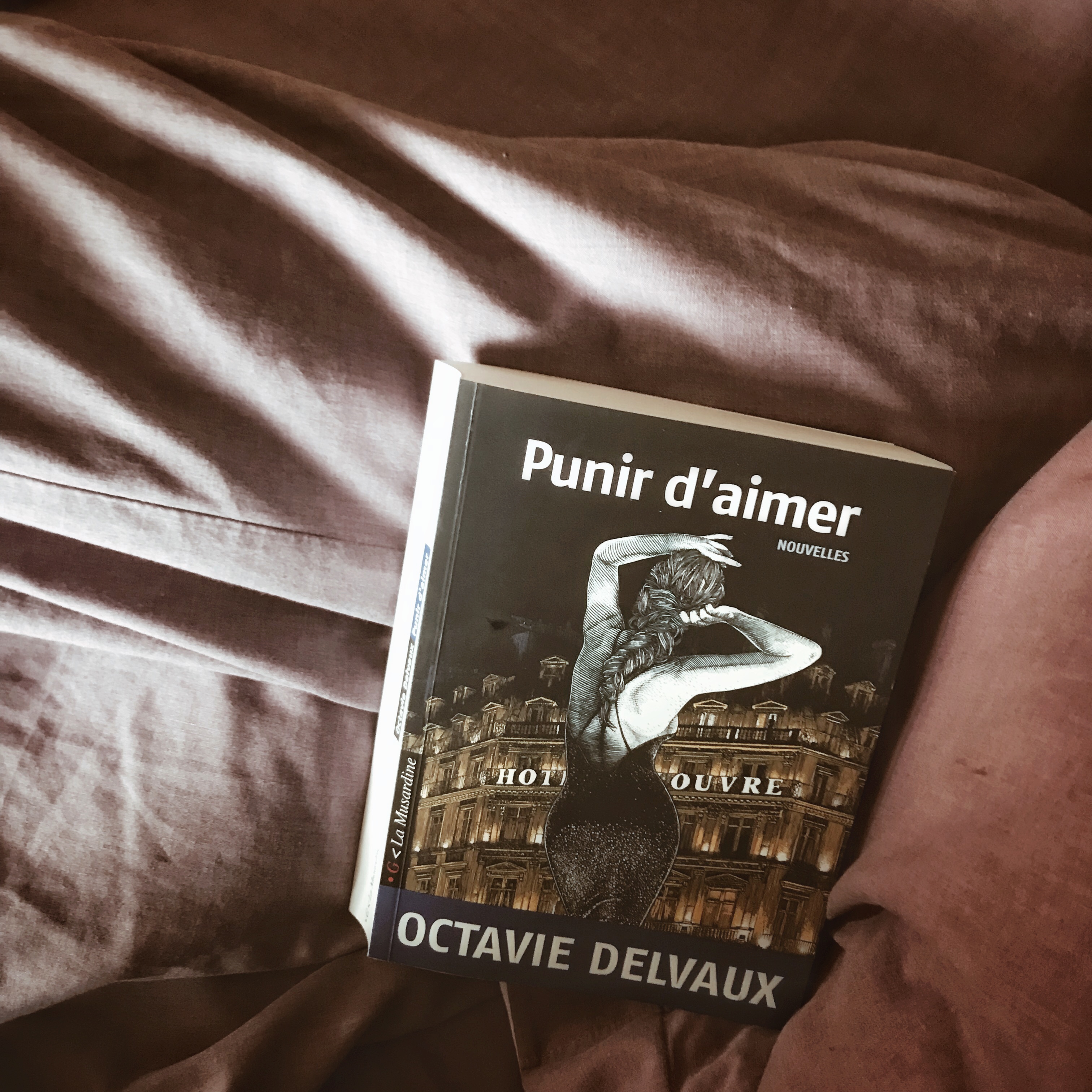 Punir d&rsquo;aimer, d&rsquo;Octavie Delvaux : la quête des sens
