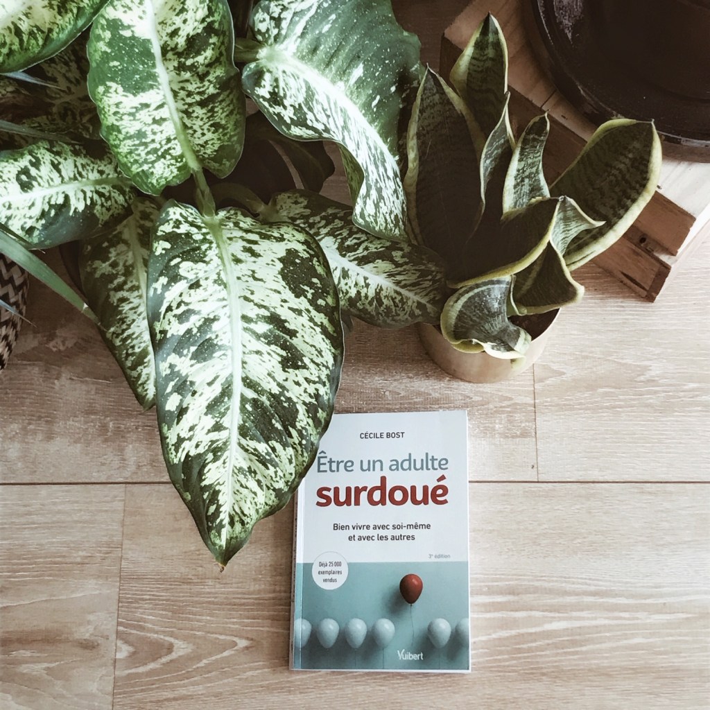 Etre un adulte surdoué, de Cécile Bost : le syndrome du vilain petit&nbsp;canard