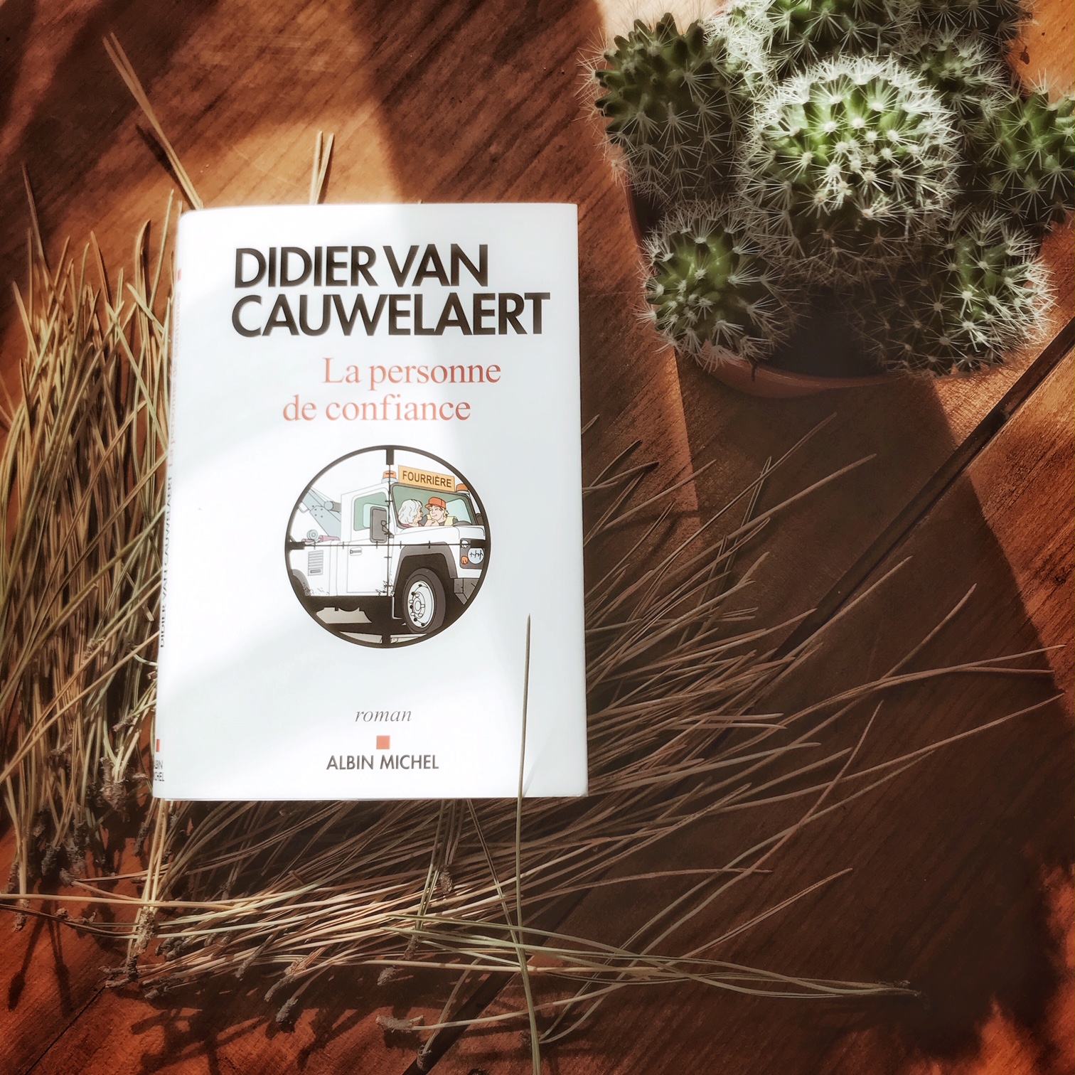 La personne de confiance, de Didier van Cauwelaert : trouver sa famille