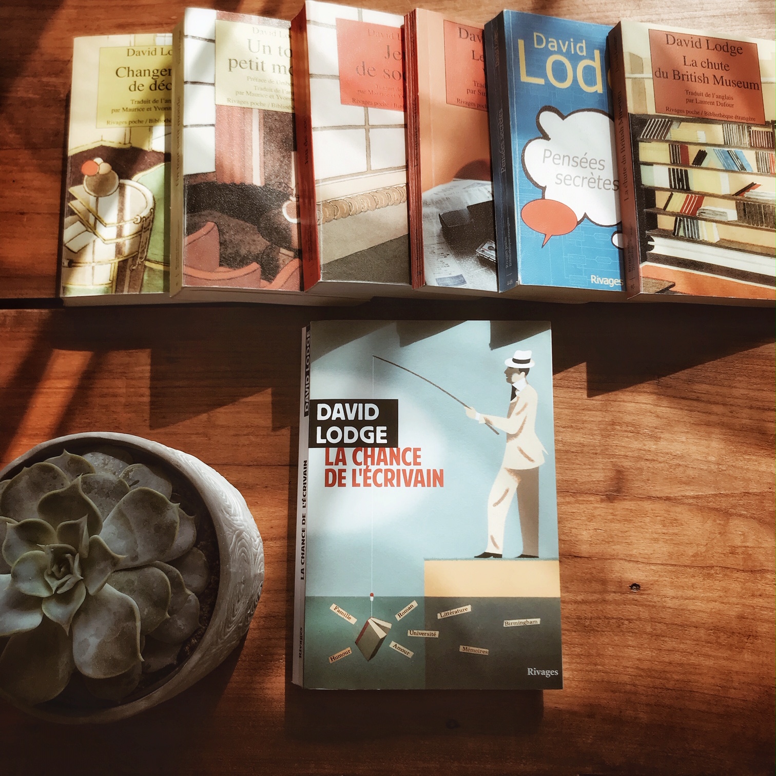La chance de l&rsquo;écrivain, de David Lodge : la fabrique de la fiction