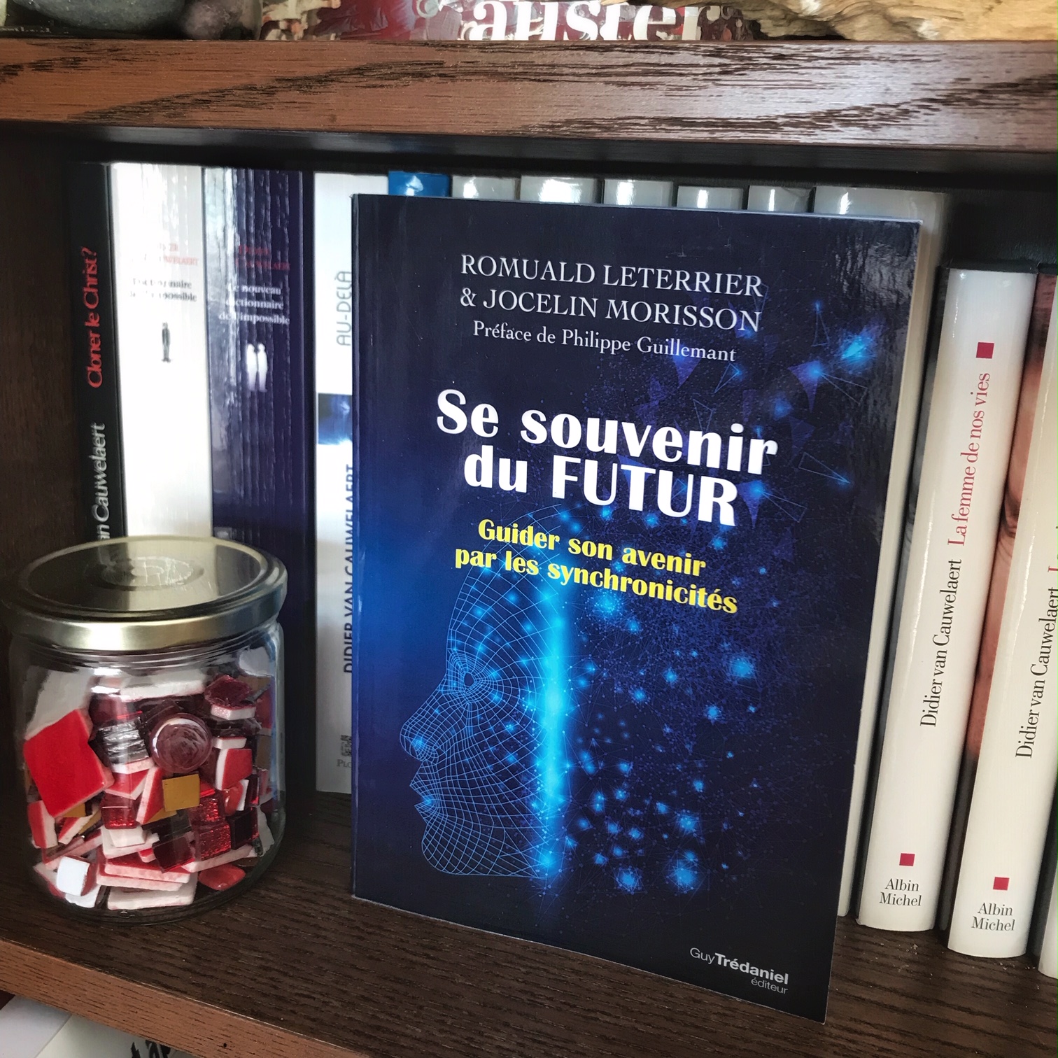 Se souvenir du futur, de Romuald Leterrier et Jocelin Morisson : guider son avenir par les synchronicités
