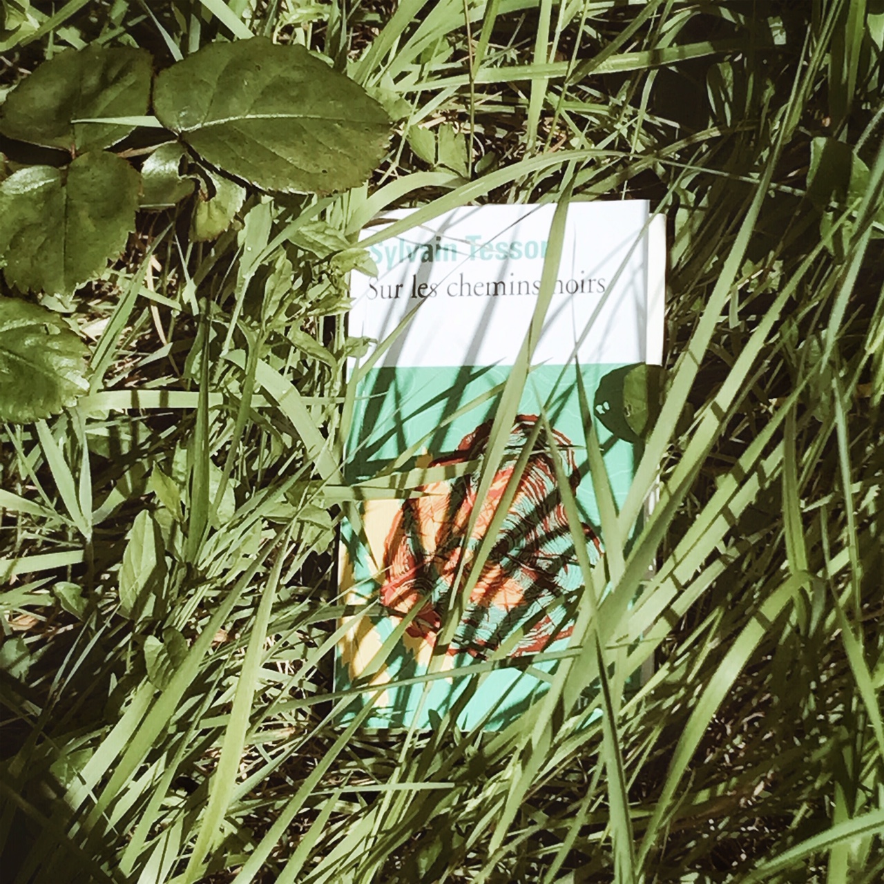 Sur les chemins noirs, de Sylvain Tesson : la carte et le territoire