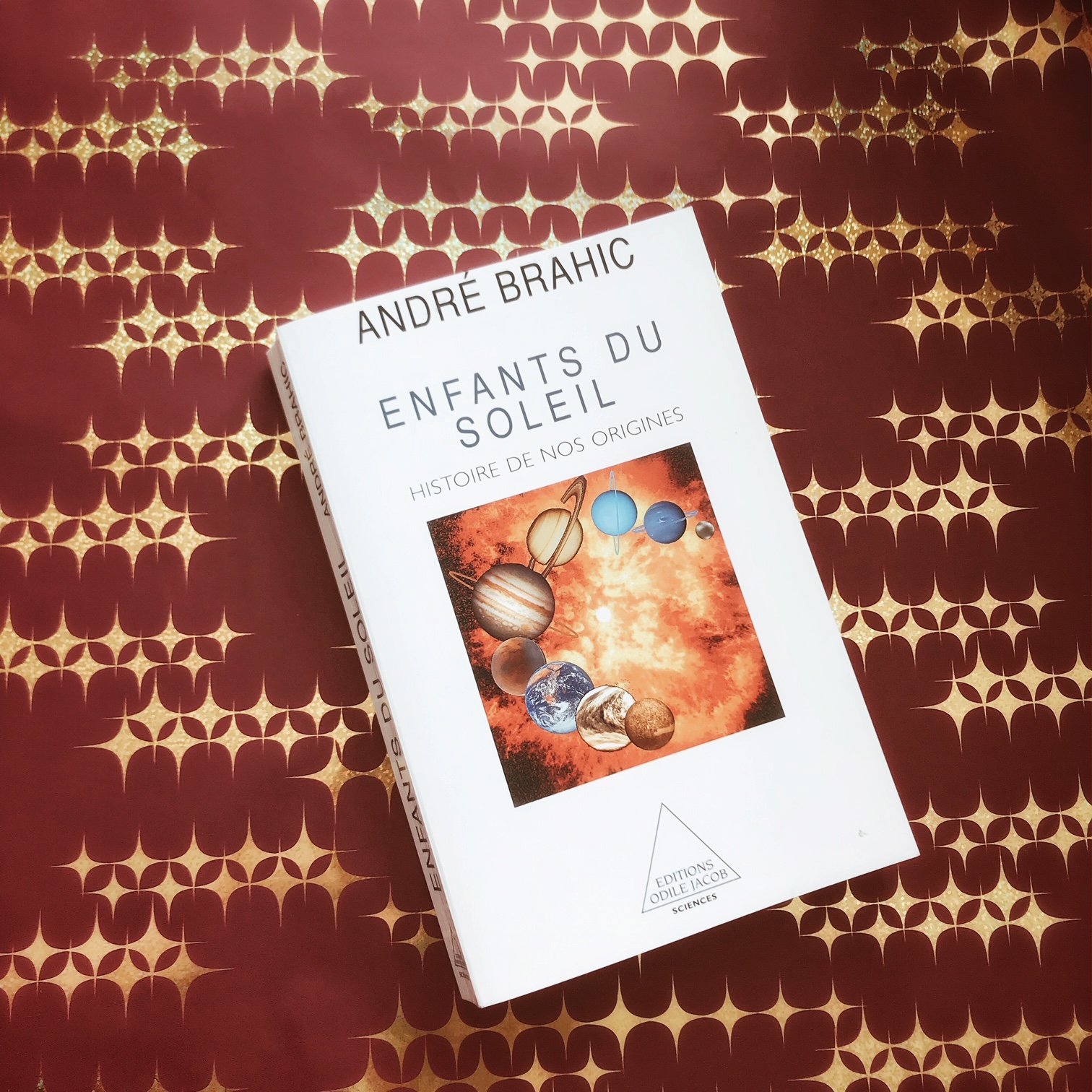 Enfants du soleil, d&rsquo;André Brahic : Histoire de nos origines