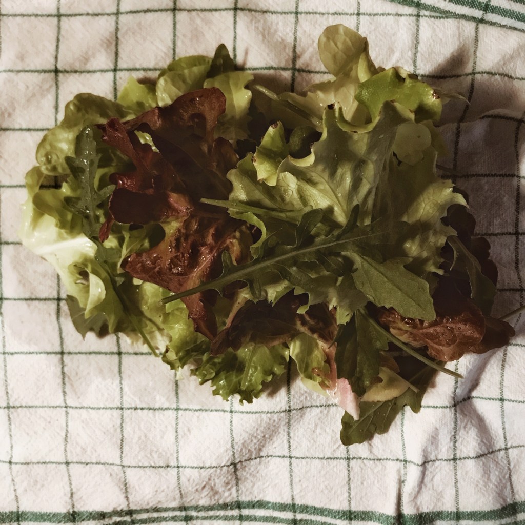 Manger - Mes jeunes pousses !