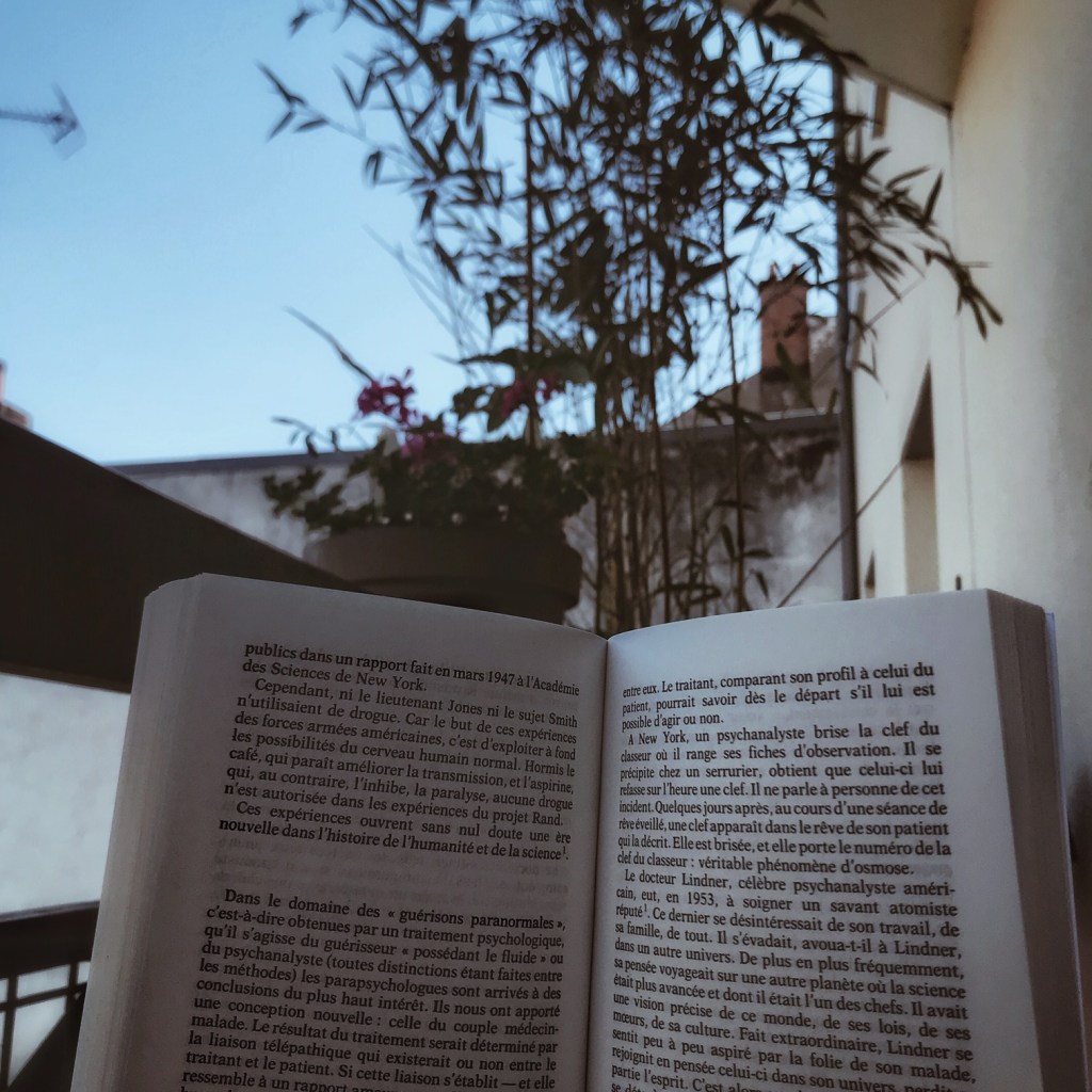 Lire dans la chaise longue