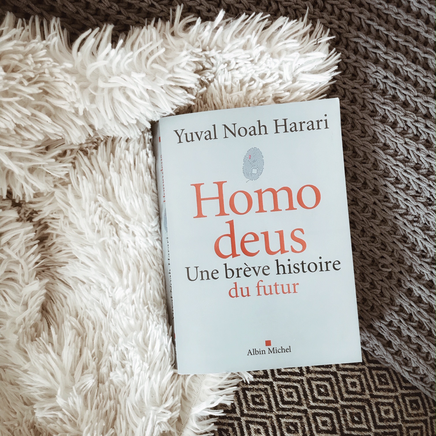 Homo deus, une brève histoire du futur de Yuval Noah Harari : la fin de l&rsquo;humanité ?