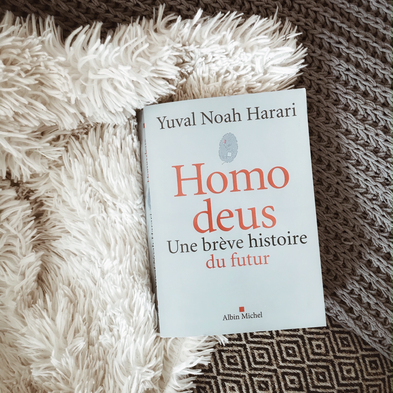 Homo deus, une brève histoire du futur de Yval Noah Harari : la fin de l'humanité ?