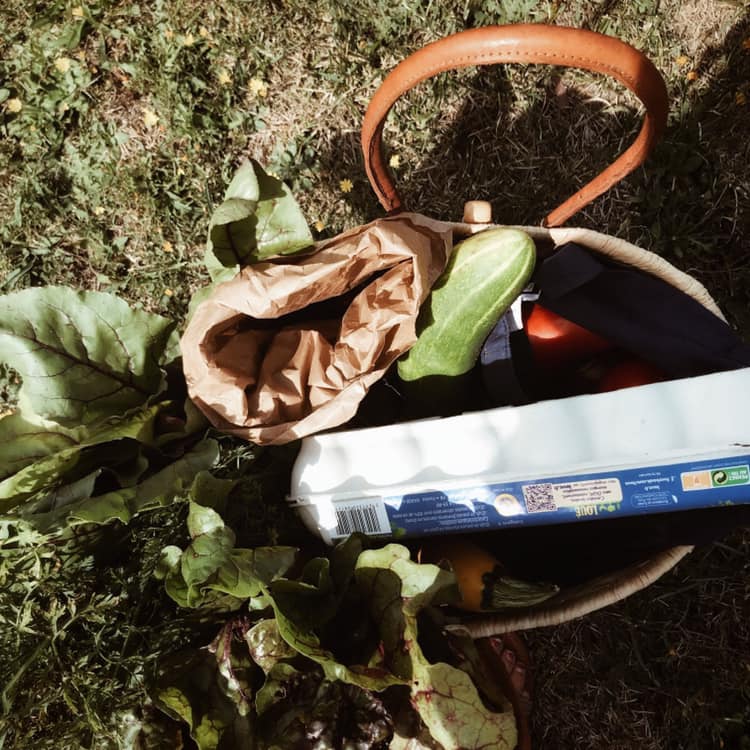 Panier bio du jardin