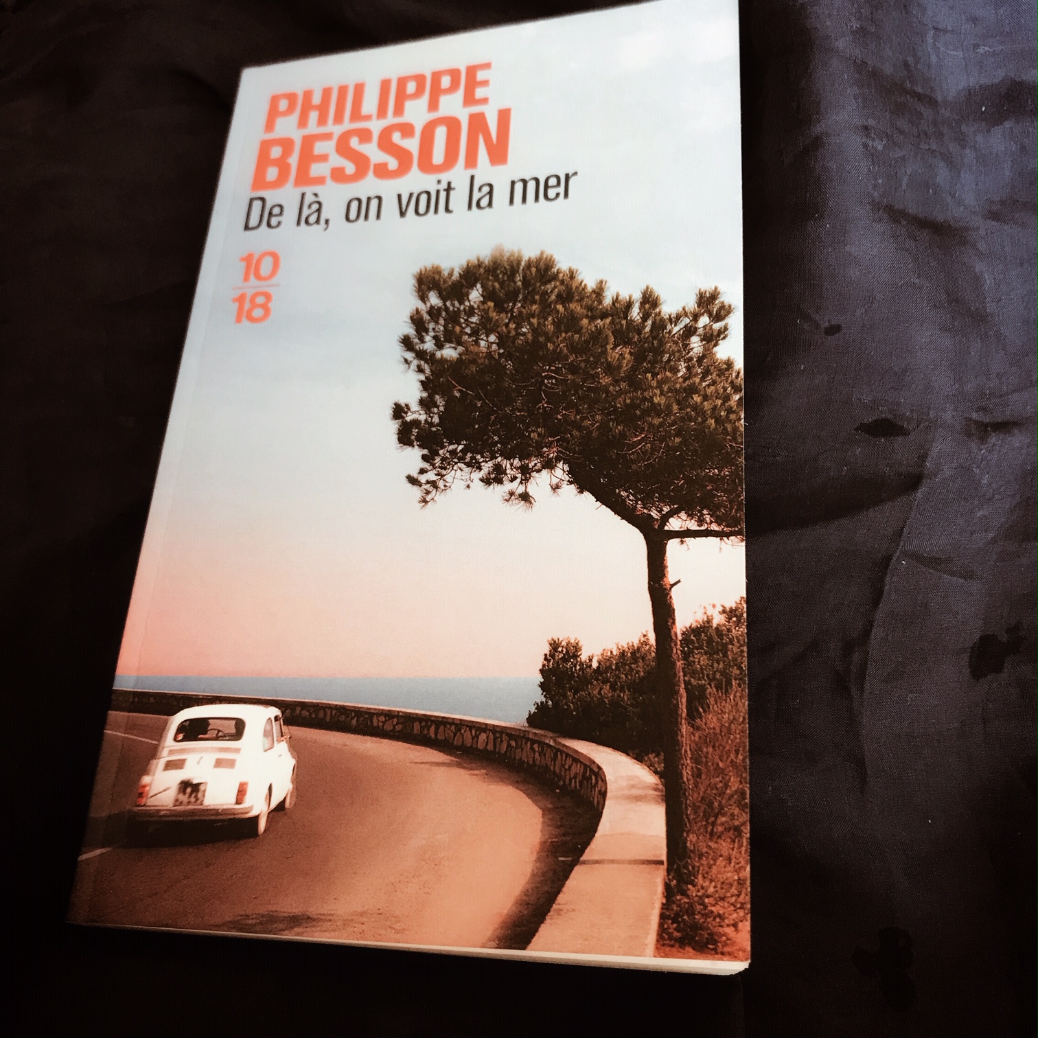 De là, on voit la mer de Philippe Besson : l&rsquo;Amoureux