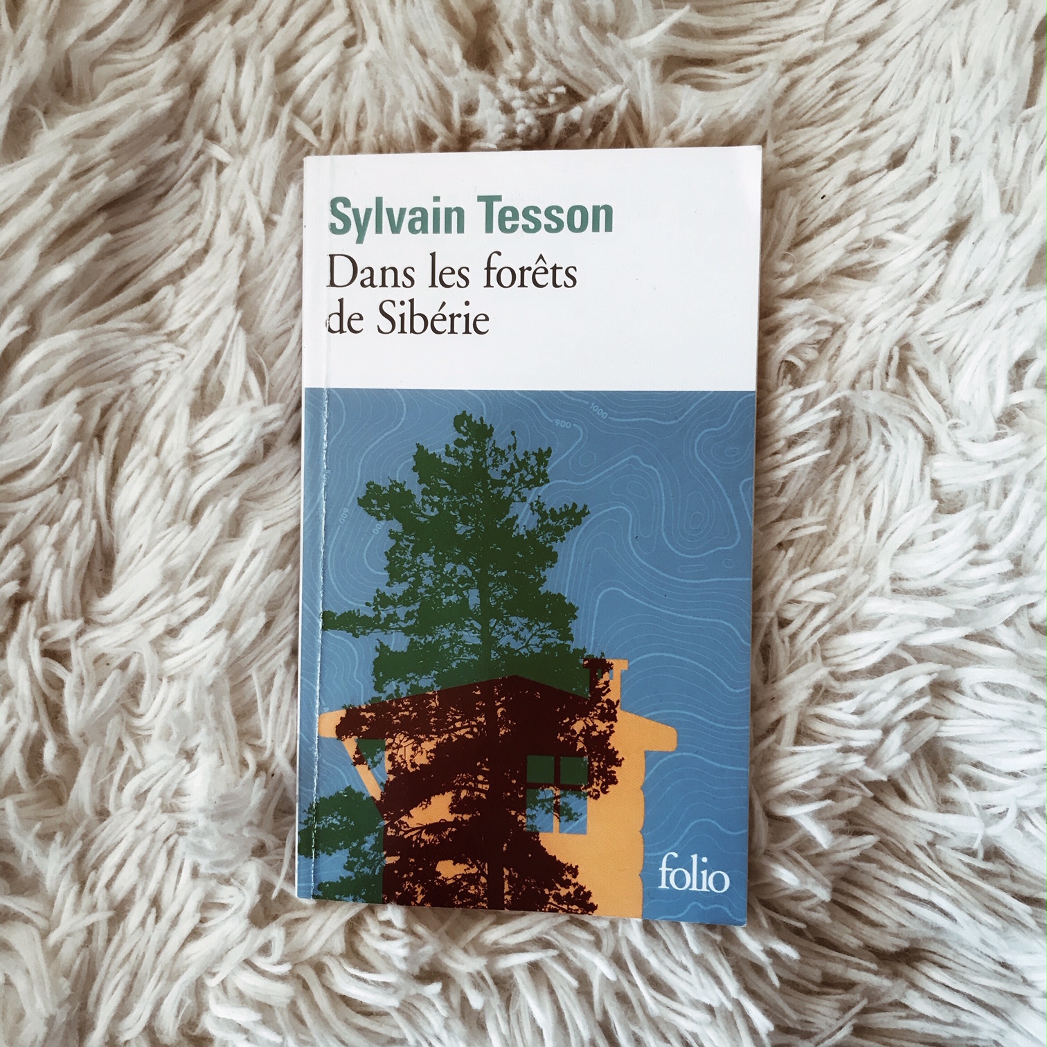 Dans les forêts de Sibérie, de Sylvain Tesson : Je, ici, maintenant