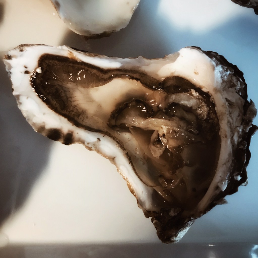 Une huître en forme de coeur