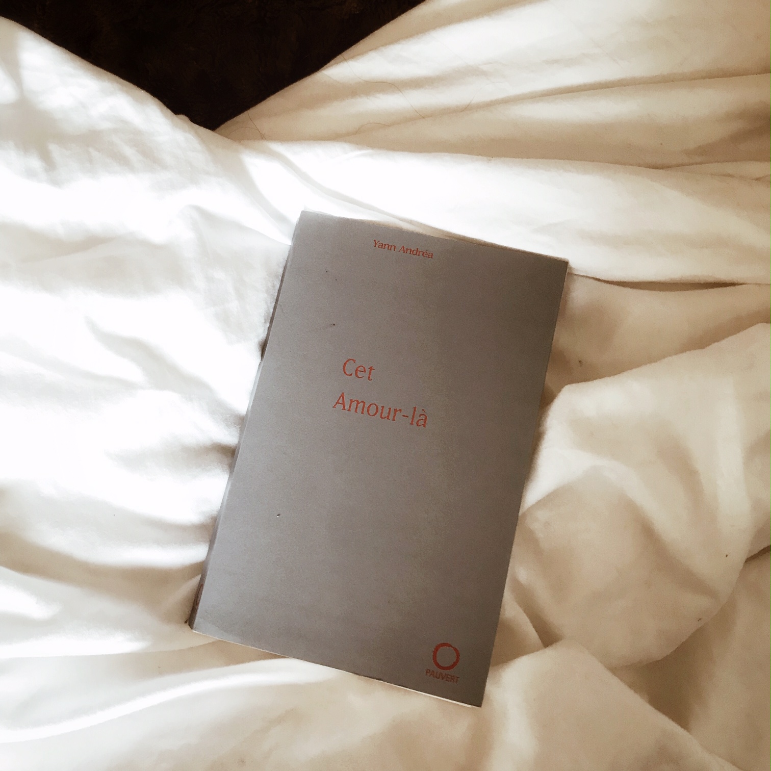 Cet amour-là, de Yann Andréa : une histoire de l'amour