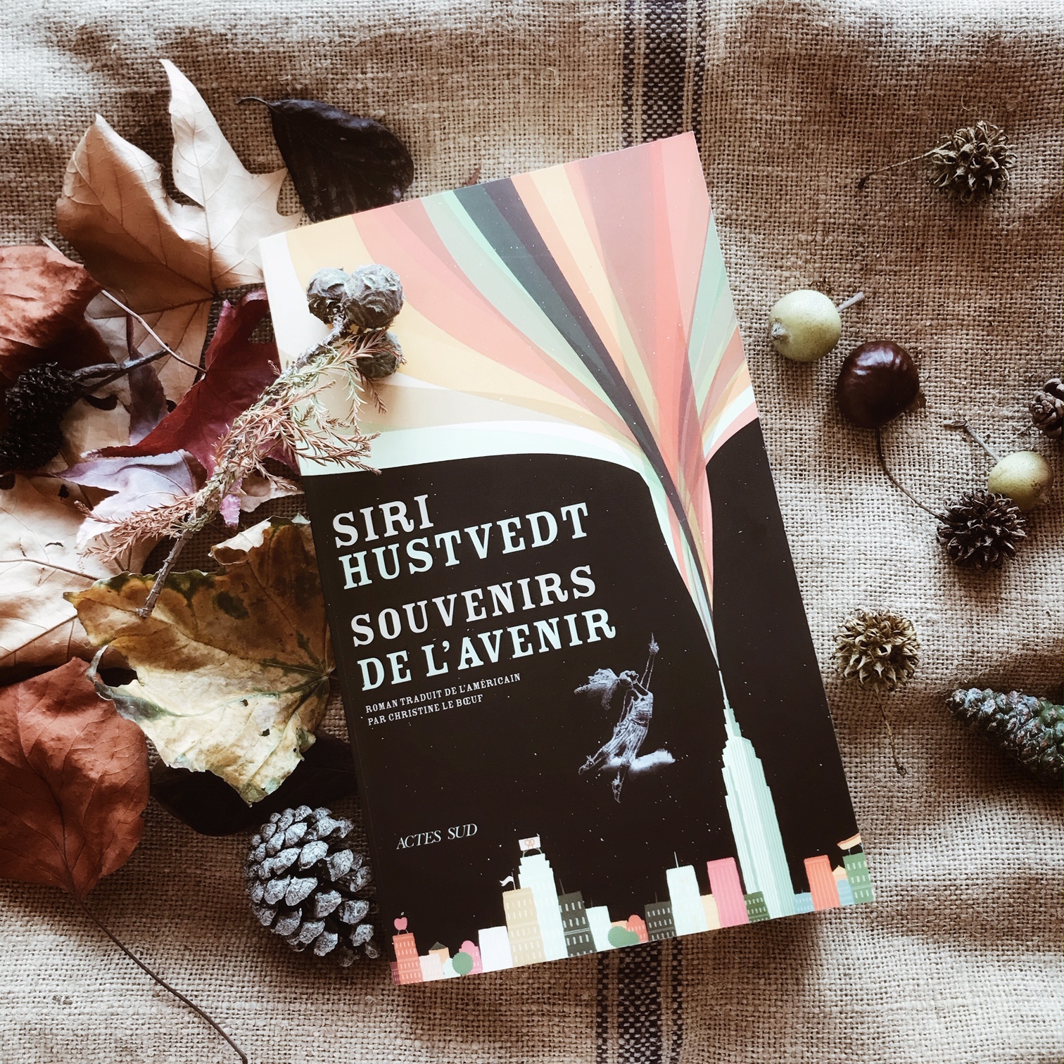 Souvenirs de l&rsquo;avenir, de Siri Hustvedt : la femme de l&rsquo;autre côté du mur