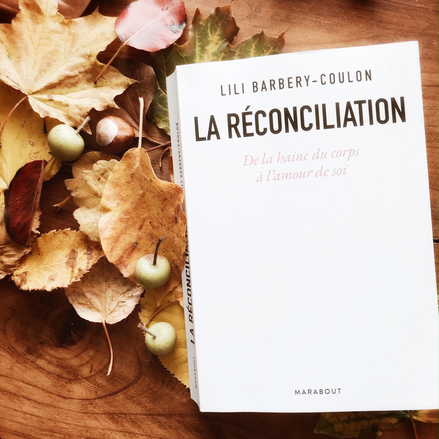 La réconciliation, de la haine du corps à l&rsquo;amour de soi de Lili Barbery-Coulon : rassembler les fragments