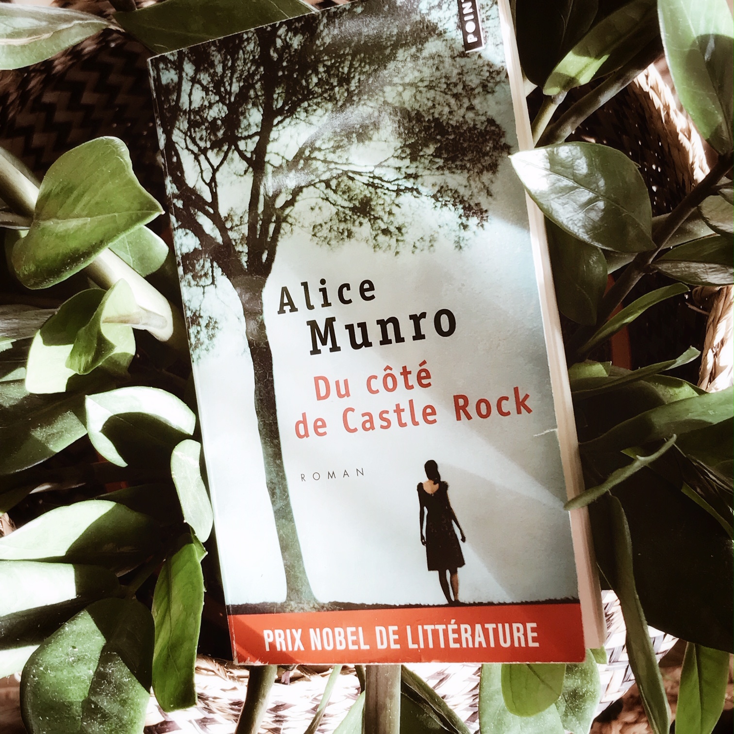 Du côté de Castle Rock, d&rsquo;Alice Munro : histoire de famille